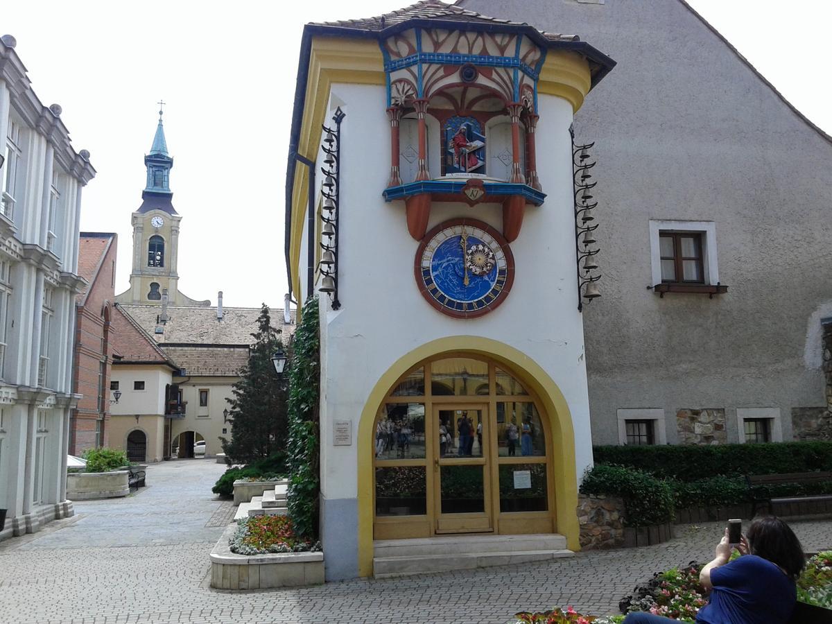 Veronica Fejer Apartment Székesfehérvár Exterior foto